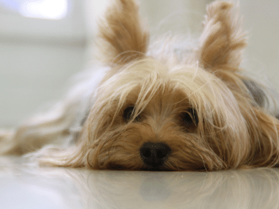 HOW TO BUST OUT OF A SLUMP IN THREE SIMPLE STEPS