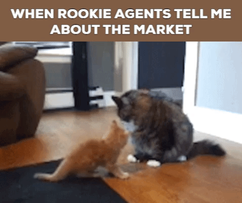 Rookie Agents