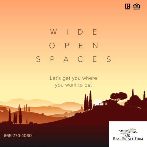 Social-Media-16557073