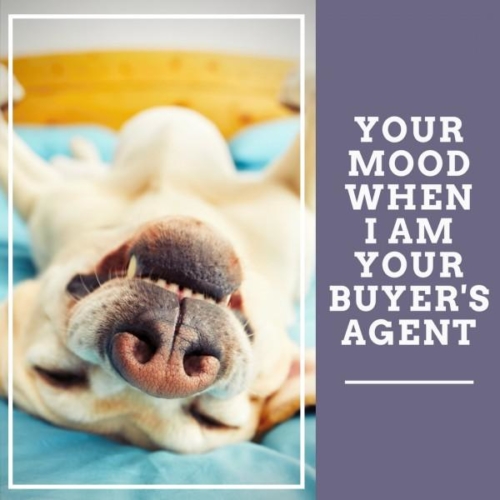 Your mood when I am your buyers agent