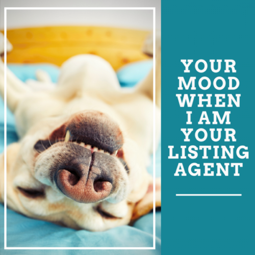 Your mood when I am your listing agent
